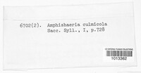 Image of Amphisphaeria culmicola